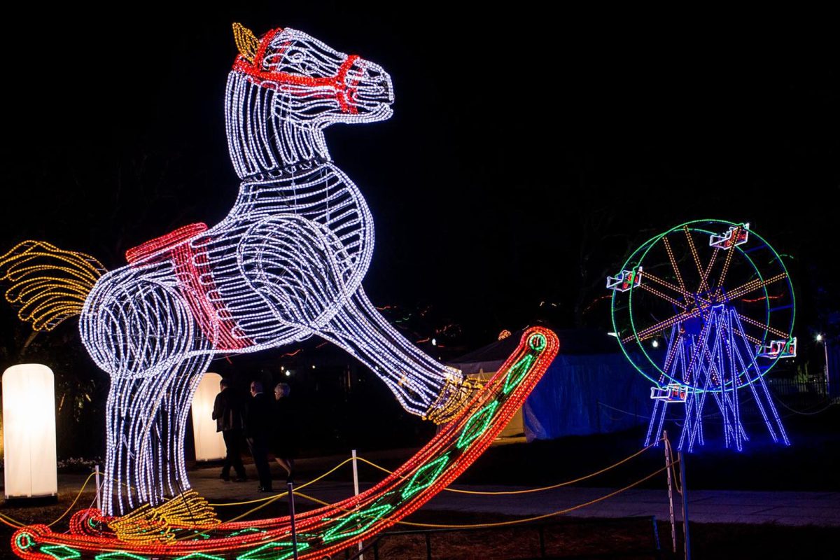 Horse lights
