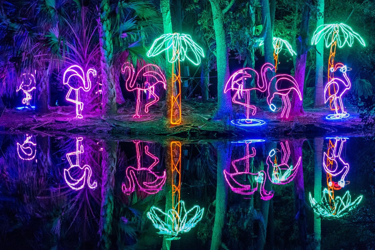 flamingo-lights-new-orleans